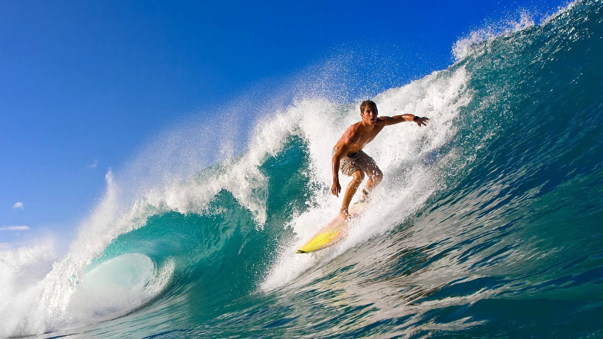 体育赛事门票销售排行榜